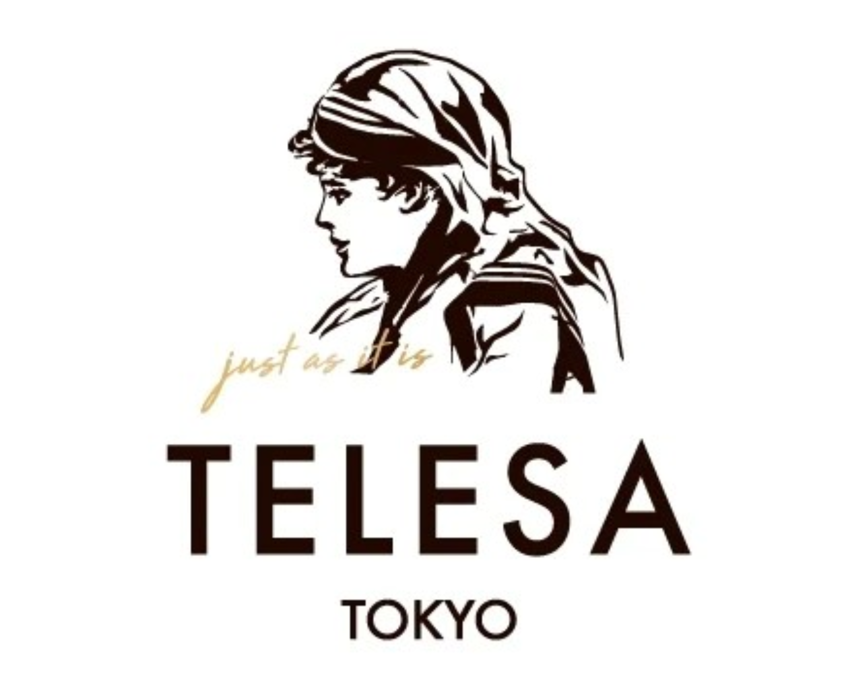 株式会社TELESA